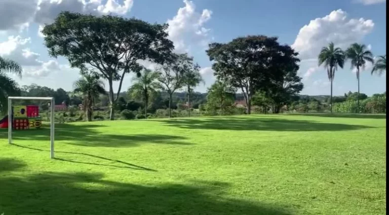 Imagem Sítio formado com 4 alqueires