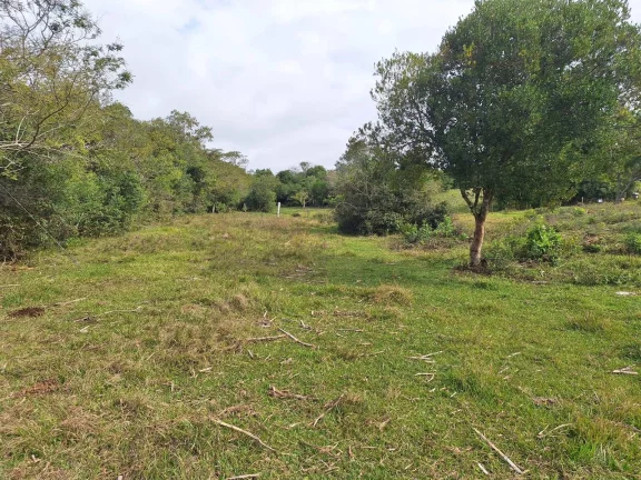 Imagem Sítio à venda, com 1 hectare, açude, no Passo da Areia - Viamão/RS