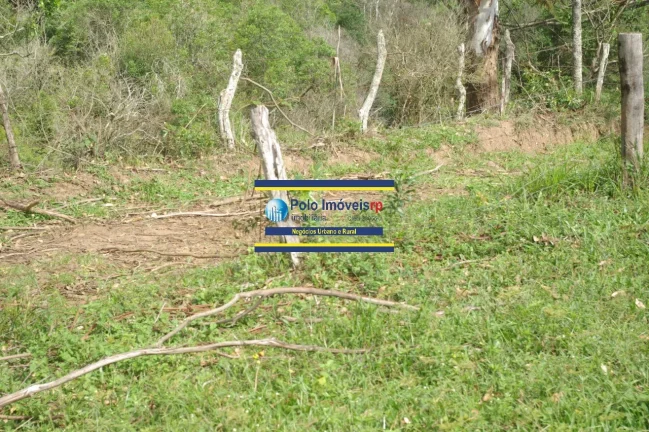 Imagem Sítio 14 alqueires com estrutura, casa, água e energia, R$ 90.000,00 valor do alqueire - Jacuí - Minas Gerais