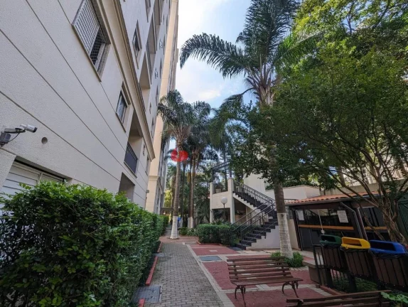 Imagem Apartamento à venda, Vila Firmiano Pinto, São Paulo, SP