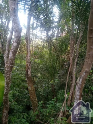Imagem Chácara a venda no Parque Alvorada em Suzano SP