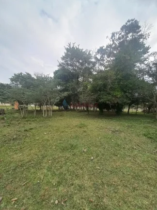 Imagem Terreno à venda no bairro Oliveira - Tijucas/SC
