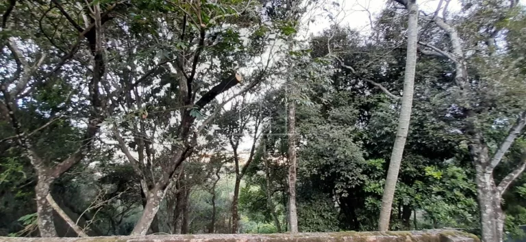 Imagem Terreno para Venda em Florianópolis / SC no bairro Vargem Grande