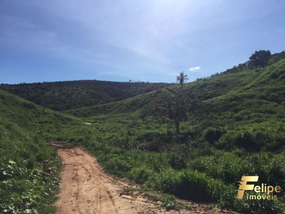 Imagem FAZENDA PRÓXIMO A COLATINA / REGIÃO NOROESTE