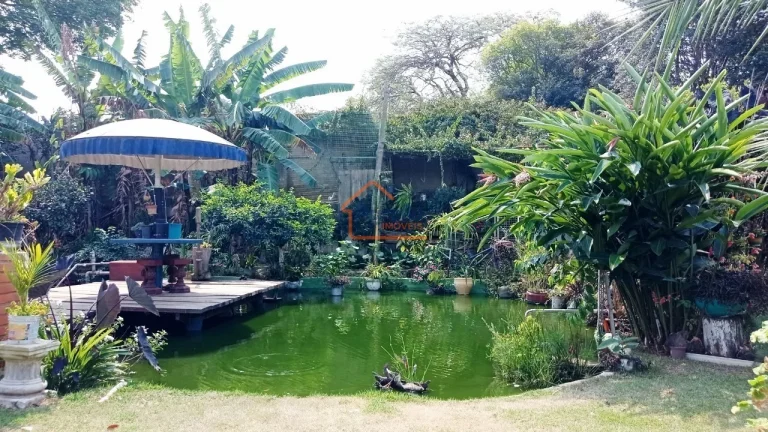 Imagem Chácara à venda no bairro PEDERNEIRAS - Mogi Mirim/SP