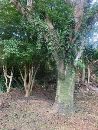 Imagem CHÁCARA 1.560M2 COM RESIDÊNCIA + GALPÃO 130M2 / EM ÁREA URBANA / DOC.100%