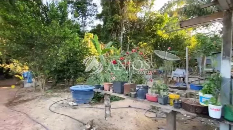 Imagem CHÁCARA NO RIO TELES PIRES Á VENDA, ÁREA RURAL, NOVA CANAA DO NORTE - MT