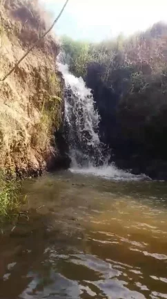 Imagem Sitio com água abundante - OPORTUNIDADE no Interior de São Paulo