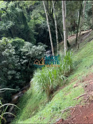 Imagem Oportunidade Sitio correspondente a Área de 5.62.48ha, sendo 56.200 m2 em Santa Rita do Sapucaí MG