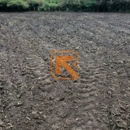 Imagem Sua Oportunidade de Investimento em Formosa-GO