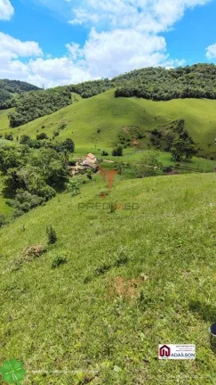 Imagem SÍTIO DOS SONHOS EM ANGELINA - SC Brasil