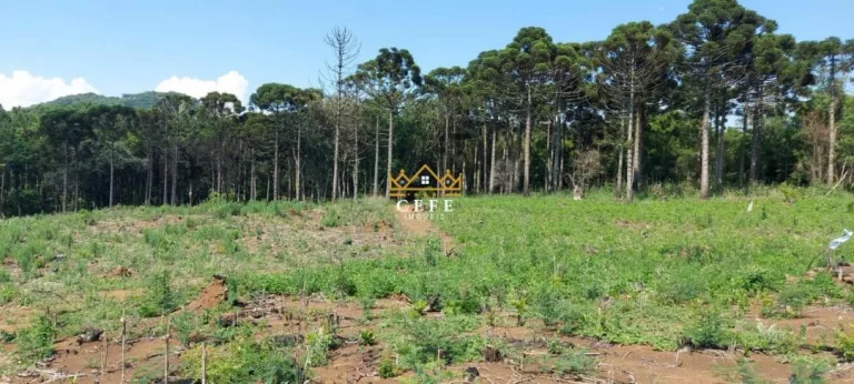 Imagem Chácara - Sítio com 2 Dormitorio(s) localizado(a) no bairro Samambaia em São Francisco de Paula / RIO GRANDE DO SUL Ref.:1542