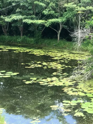 Imagem Maravilhoso Sítio à Venda em Porangaba - SP