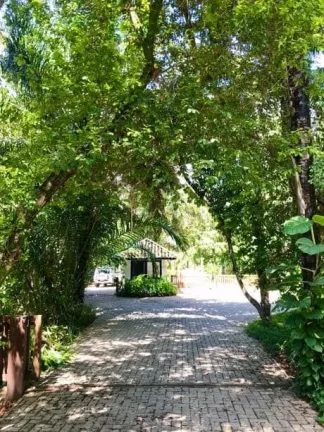 Imagem Terreno em Condomínio à venda em Praia do Forte, Mata de São João - Fazenda do Forte