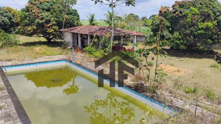 Imagem Terreno à Venda, 5.000 m² em Centro - Paudalho