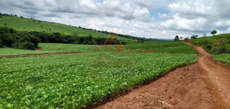 Imagem Fazenda - Itamogi - Itamogi