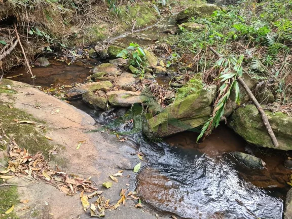 Imagem Lindo sítio à Venda em Piracaia