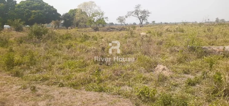 Imagem Charmoso sítio à venda em Olho d'Água, Municipio de Sto Antonio Leverger MT