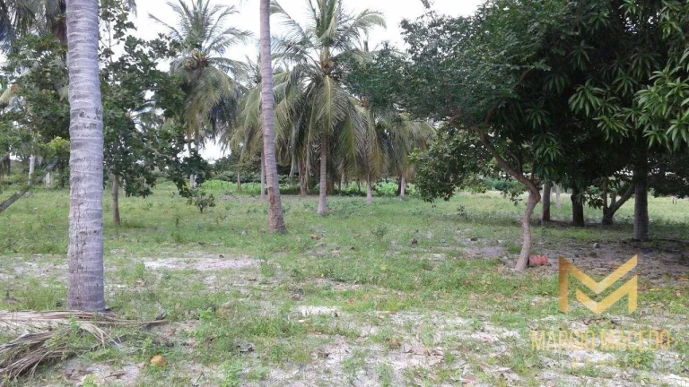 Imagem Terreno à venda, 247664 m² por R$ 1.200.000,00 - Zona Rural - Beberibe/CE