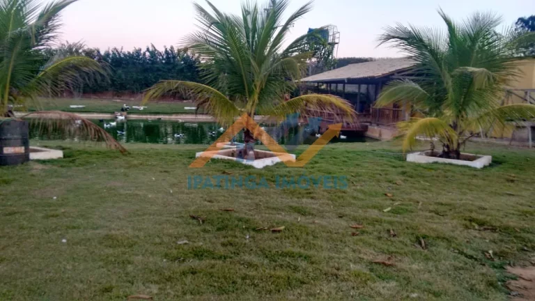 Imagem Chácara de 5.000m² em Bom Jesus do Galho