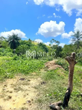 Imagem ÁREA DE 6.000m², em Jaboatão Velho..