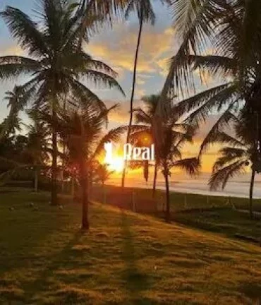 Imagem GLEBA - PÉ NA AREIA