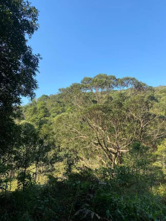 Imagem Terreno à venda em Garopaba-SC, bairro Ressacada, com 172.989,94 m² de área! Venha conferir!