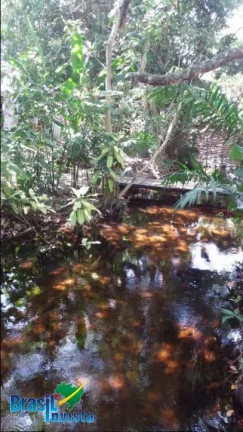 Imagem LINDA ÁREA EM CABRÁLIA