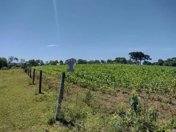 Imagem CHÁCARA COM 143.897M² NA REGIÃO LAPA E BALSA NOVA