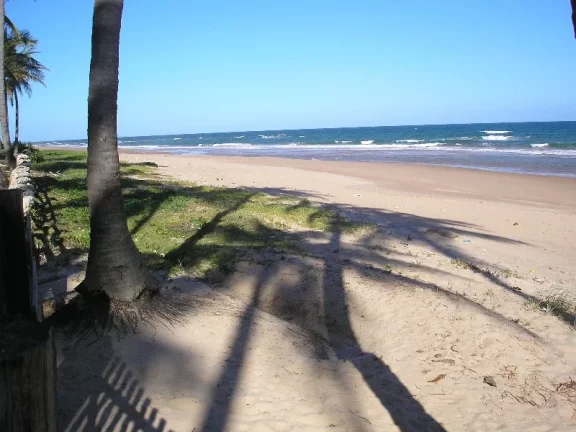 Imagem BUSCA VIDA - FRONTAL MAR - 26.392,00m2 DE ÁREA PLANA EM FRENTE AO CHARMOSO MAR DE BUSCA VIDA, PÉ NA AREIA. 100m DE TESTADA MAR