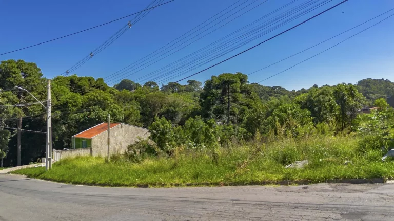 Imagem Terreno 1.127m² Campo Largo