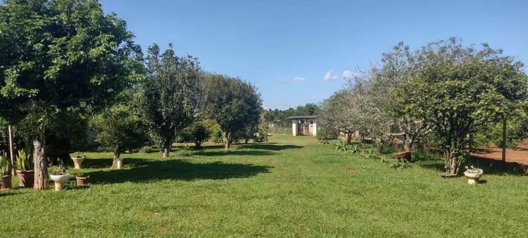 Imagem CHÁCARAS- CHÁCARAS CANANEIA