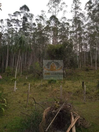 Imagem Sítio à venda, 72000 m² por R$ 400.000,00 - Padre André - Jacupiranga/SP