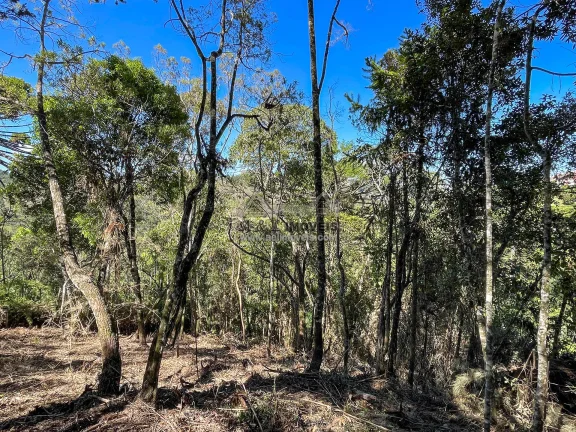 Imagem Terreno à venda em Campos do Jordão - Excelente opção para investimento