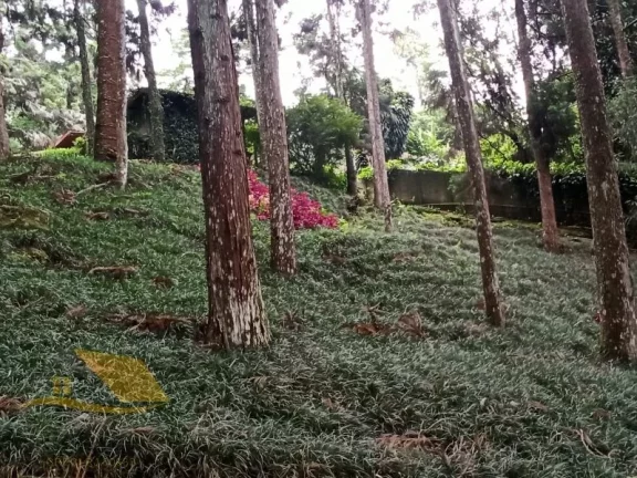 Imagem Vendo Sítio Alto Padrão a 5 Min do Centro de Friburgo