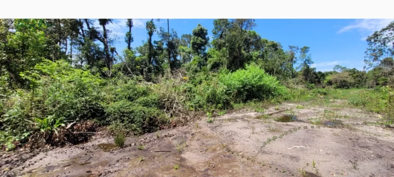 Imagem DOIS TERRENOS JUNTOS 24X32, com rua aberta, 100% documentado.