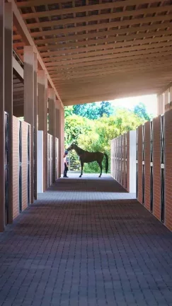 Imagem Terreno com 620m² em condomínio rural com estrutura para cavalos em Camboriú
