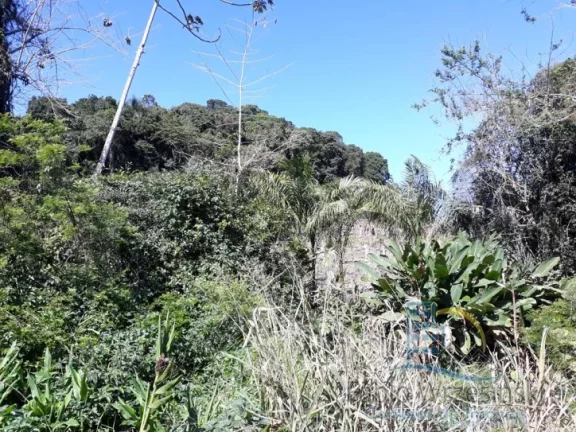 Imagem Terreno - Em rua, para Venda em São Francisco do Sul/SC
