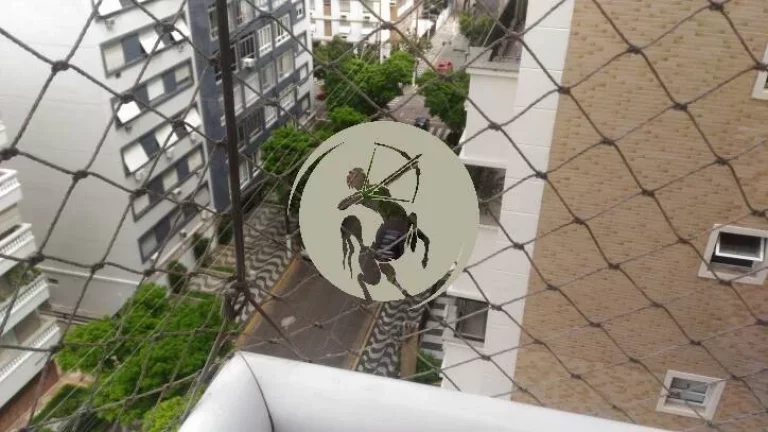 Imagem Alto Padrão no Gonzaga