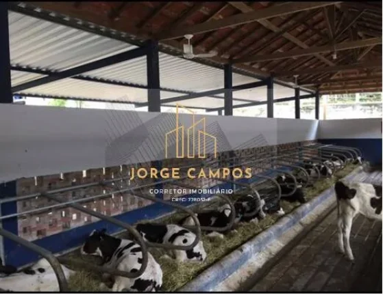 Imagem FA-25221 - FAZENDA À VENDA NA REGIÃO DE SILVEIRAS -SP