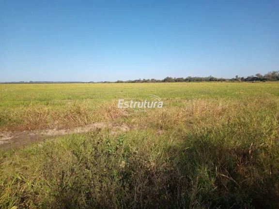 Imagem Área rural com aptidão para plantio de arroz de 190ha