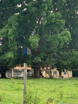 Imagem Fazenda para Venda em Mimoso de Goiás, MIMOSO GOÍAS, 6 dormitórios, 4 suítes, 5 banheiros, 4 vagas
