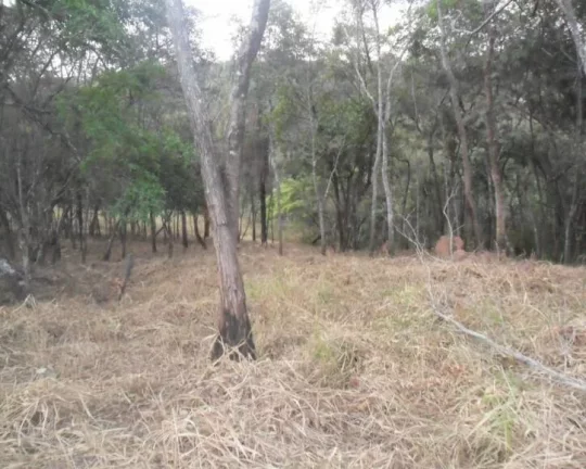 Imagem Oportunidade! área de 6.000 m² .
