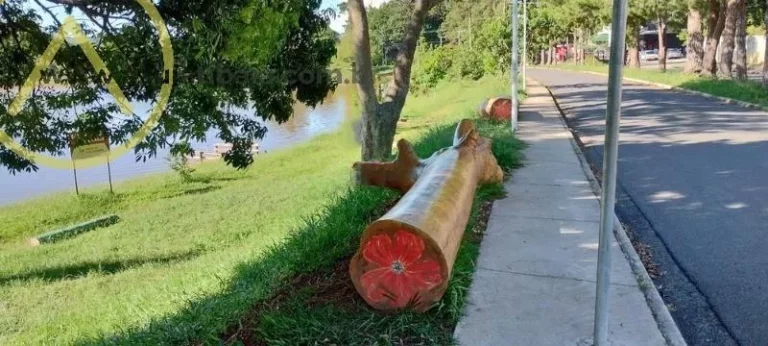Imagem Terreno para Venda em Atibaia, Jardim Dos Pinheiros