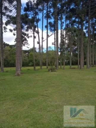 Imagem Chácara para Venda em São José dos Pinhais, Área Rural de São José dos Pinhais, 3 dormitórios, 1 suíte, 2 banheiros, 4 vagas