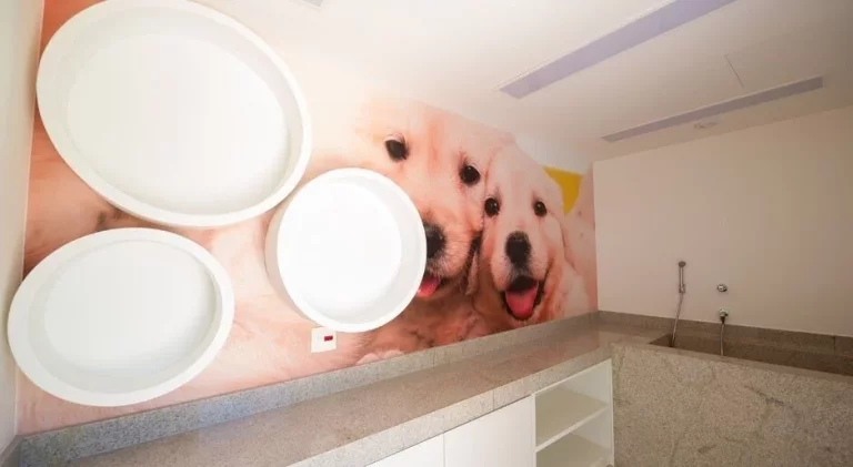 Imagem APARTAMENTO A AVENIDA INDUSTRIAL NO BAIRRO JARDIM SANTO ANDRE
