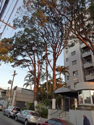 Imagem ALUGO LINDO APTO NO CONDOMÍNIO RESIDENCIAL VILLA FLORA!