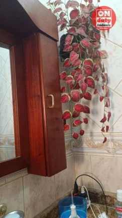 Imagem Sobrado à venda - Pompéia - Santos/SP