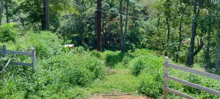 Imagem CHACARA 12.000 MTS - BAIRRO ANHUMAS - ITAJUBÁ - MG