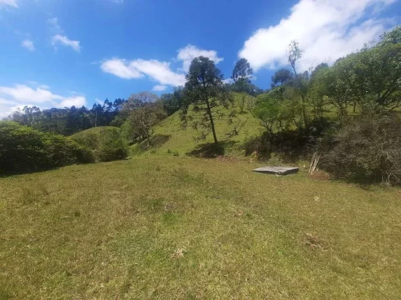 Imagem Área à venda (65,53ha) - Águas Mornas/SC